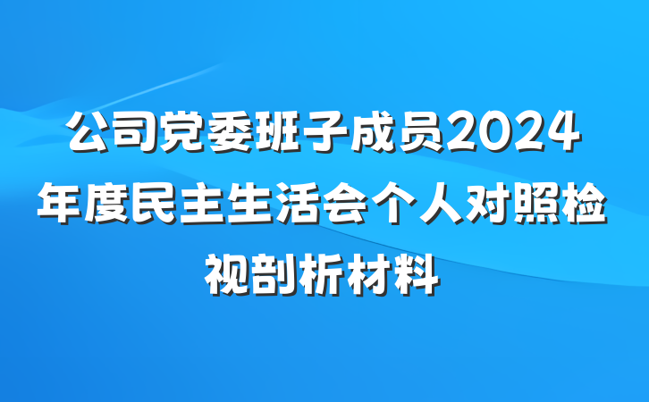 公司党委班子成员2024年度民主生活会个人对照检视剖析材料