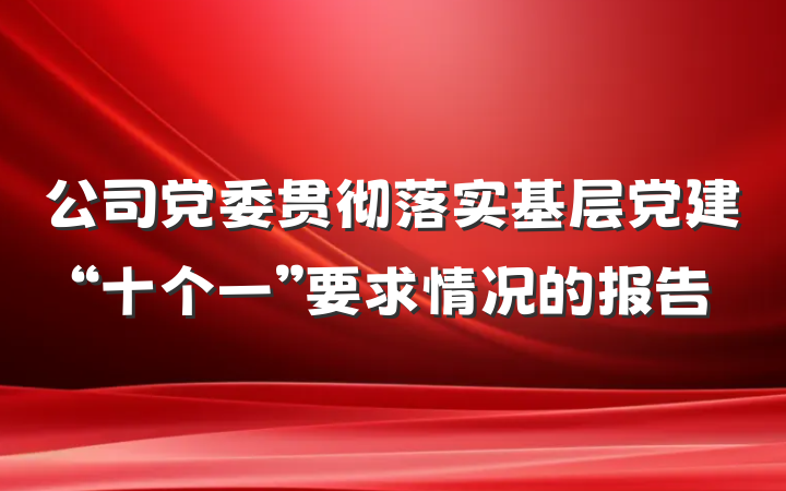 公司党委贯彻落实基层党建“十个一”要求情况的报告