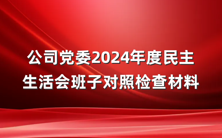 公司党委2024年度民主生活会班子对照检查材料