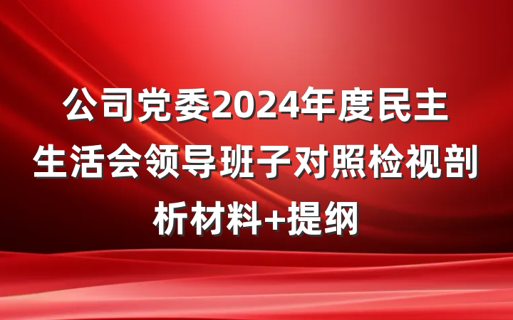公司党委2024年度民主生活会领导班子对照检视剖析材料 提纲