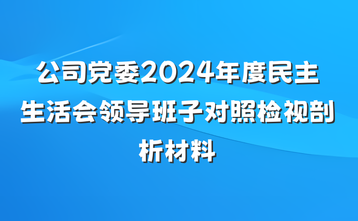公司党委2024年度民主生活会领导班子对照检视剖析材料