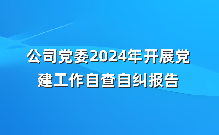 公司党委2024年开展党建工作自查自纠报告