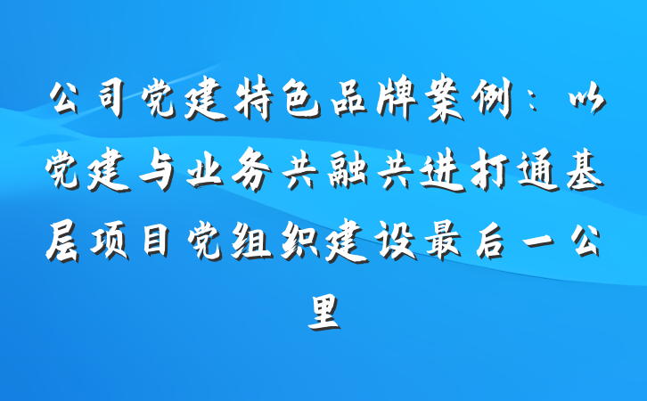公司党建特色品牌案例：以党建与业务共融共进打通基层项目党组织建设最后一公里