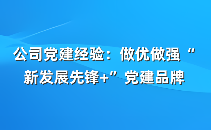 公司党建经验：做优做强“新发展先锋+”党建品牌