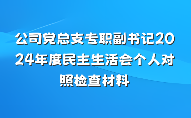 公司党总支专职副书记2024年度民主生活会个人对照检查材料