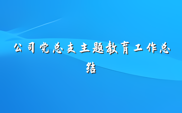 公司党总支主题教育工作总结