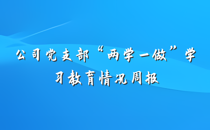 公司党支部“两学一做”学习教育情况周报