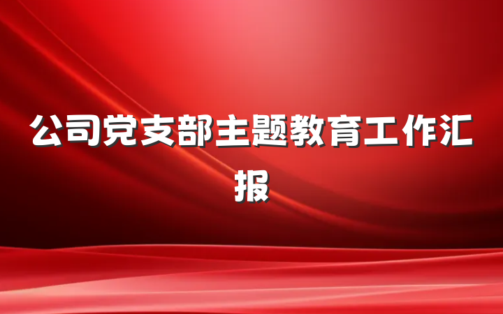 公司党支部主题教育工作汇报