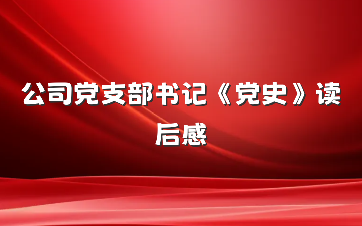 公司党支部书记《党史》读后感