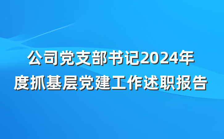 公司党支部书记2024年度抓基层党建工作述职报告
