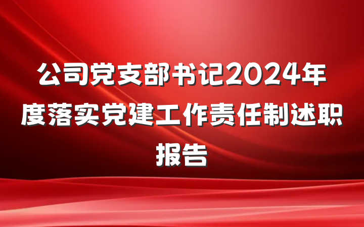 公司党支部书记2024年度落实党建工作责任制述职报告