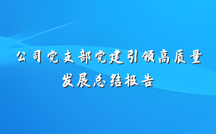 公司党支部党建引领高质量发展总结报告