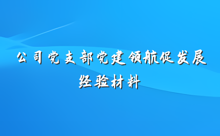 公司党支部党建领航促发展经验材料