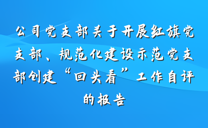 公司党支部关于开展红旗党支部、规范化建设示范党支部创建“回头看”工作自评的报告