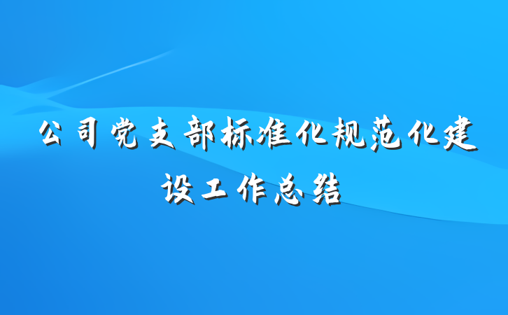 公司党支部标准化规范化建设工作总结