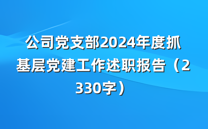 公司党支部2024年度抓基层党建工作述职报告（2330字）