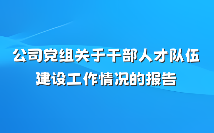 公司党组关于干部人才队伍建设工作情况的报告
