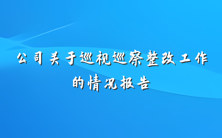 公司关于巡视巡察整改工作的情况报告