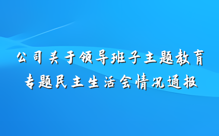 公司关于领导班子主题教育专题民主生活会情况通报