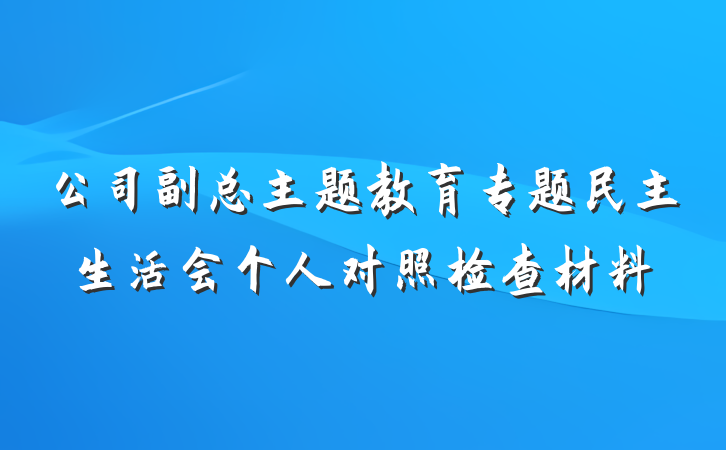 公司副总主题教育专题民主生活会个人对照检查材料