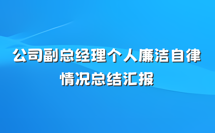 公司副总经理个人廉洁自律情况总结汇报