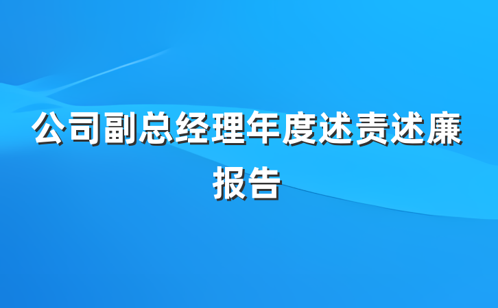 公司副总经理年度述责述廉报告