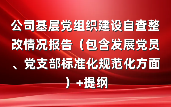 公司基层党组织建设自查整改情况报告（包含发展党员、党支部标准化规范化方面） 提纲