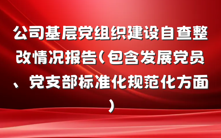 公司基层党组织建设自查整改情况报告（包含发展党员、党支部标准化规范化方面）