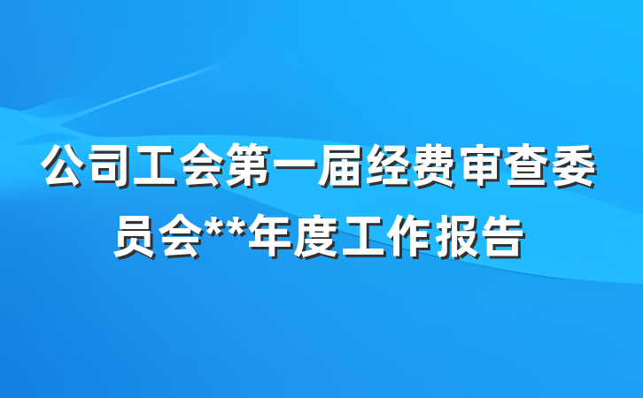 公司工会第一届经费审查委员会**年度工作报告