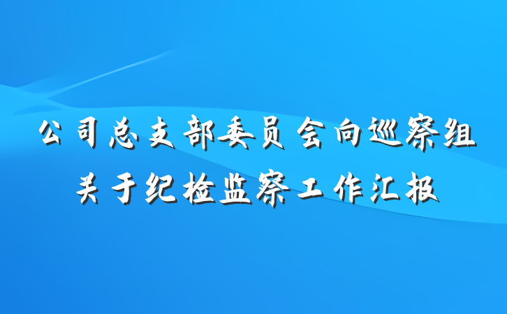 公司总支部委员会向巡察组关于纪检监察工作汇报