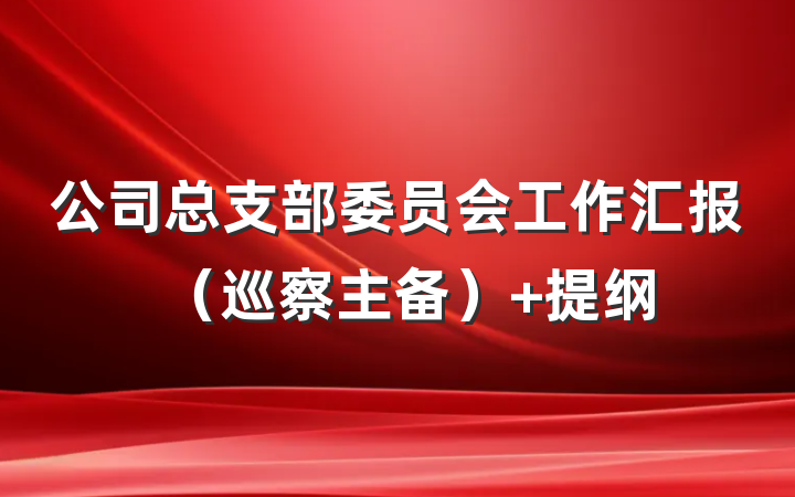 公司总支部委员会工作汇报（巡察主备） 提纲