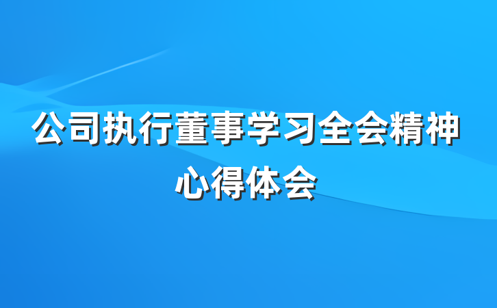 公司执行董事学习全会精神心得体会