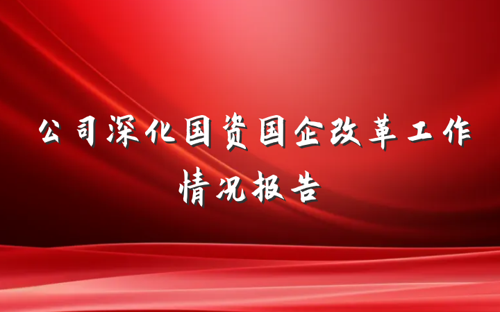 公司深化国资国企改革工作情况报告