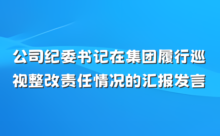 公司纪委书记在集团履行巡视整改责任情况的汇报发言