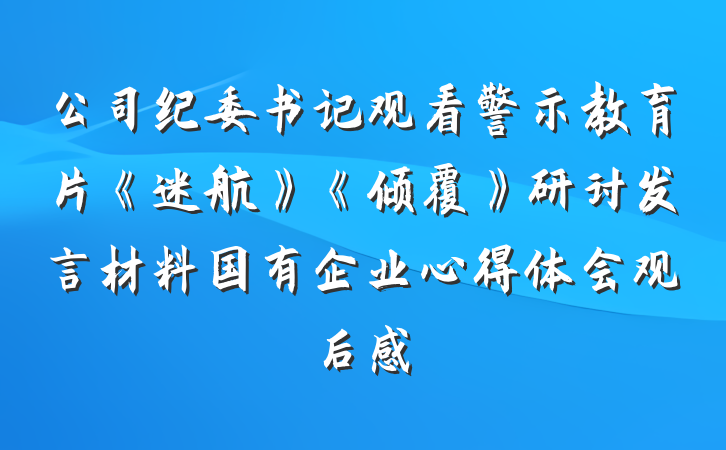 公司纪委书记观看警示教育片《迷航》《倾覆》研讨发言材料国有企业心得体会观后感