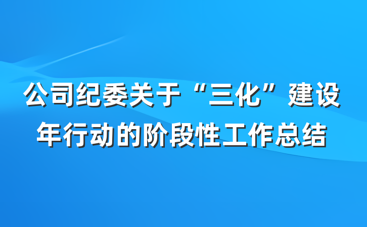 公司纪委关于“三化”建设年行动的阶段性工作总结