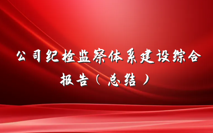 公司纪检监察体系建设综合报告（总结）