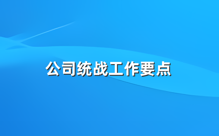 公司统战工作要点