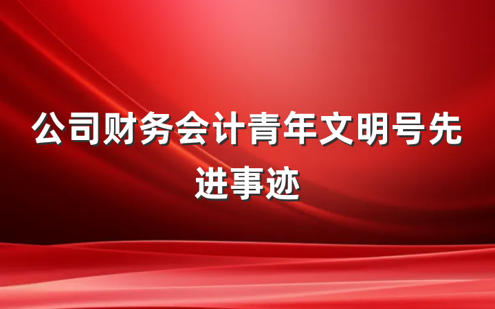 公司财务会计青年文明号先进事迹