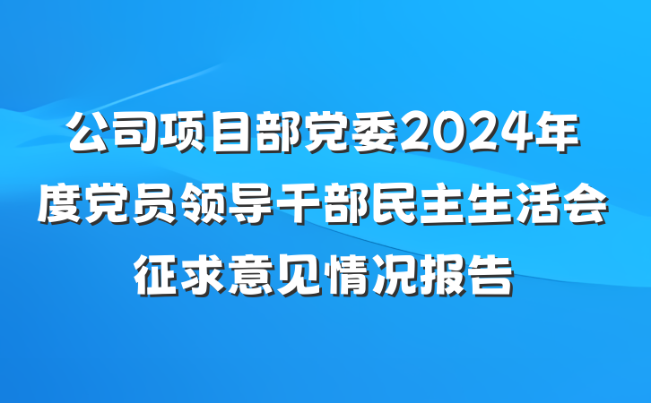 公司项目部党委2024年度党员领导干部民主生活会征求意见情况报告