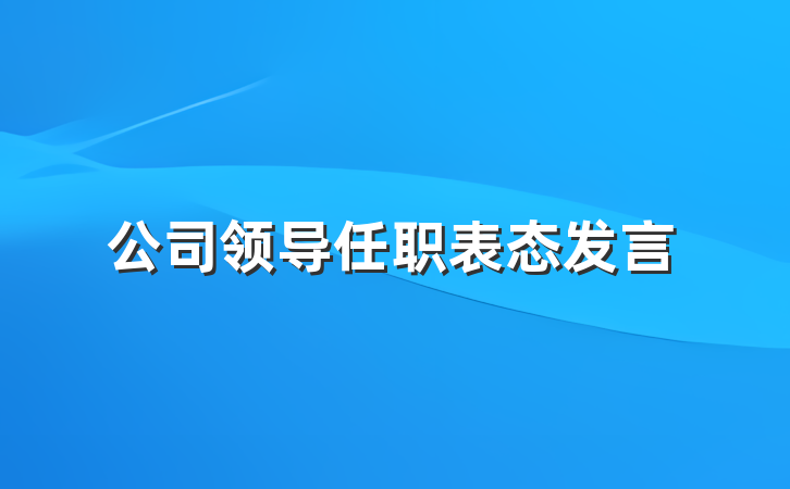 公司领导任职表态发言