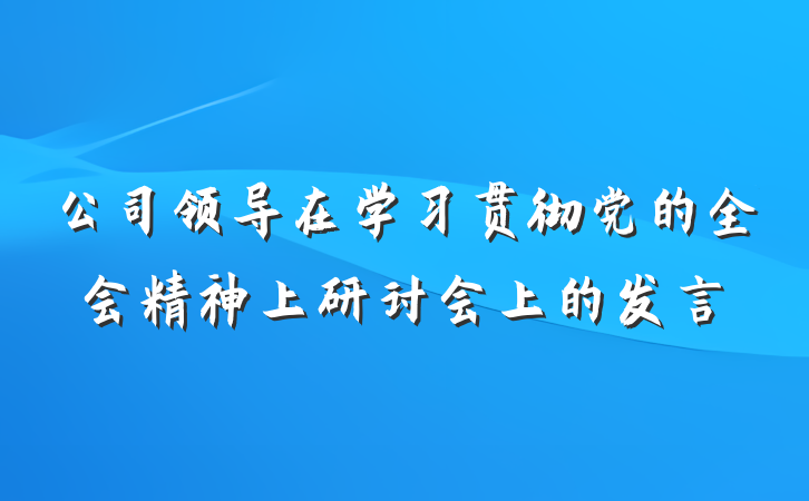 公司领导在学习贯彻党的全会精神上研讨会上的发言