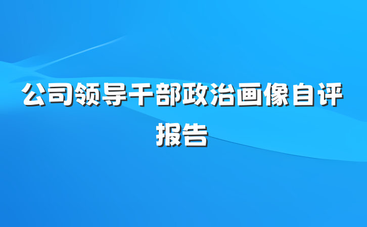 公司领导干部政治画像自评报告