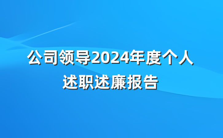 公司领导2024年度个人述职述廉报告