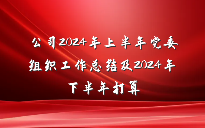 公司2024年上半年党委组织工作总结及2024年下半年打算