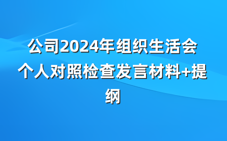 公司2024年组织生活会个人对照检查发言材料 提纲