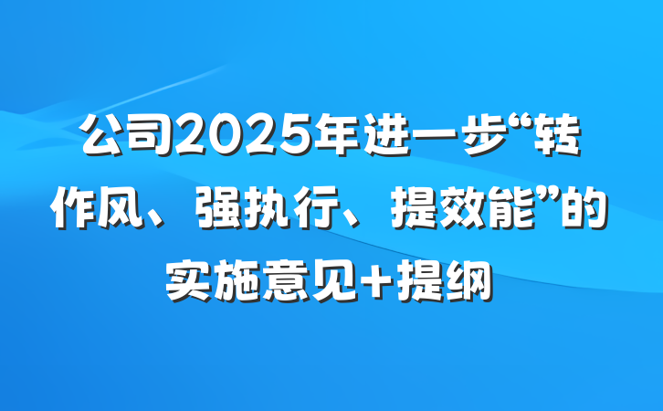 公司2025年进一步“转作风、强执行、提效能”的实施意见 提纲