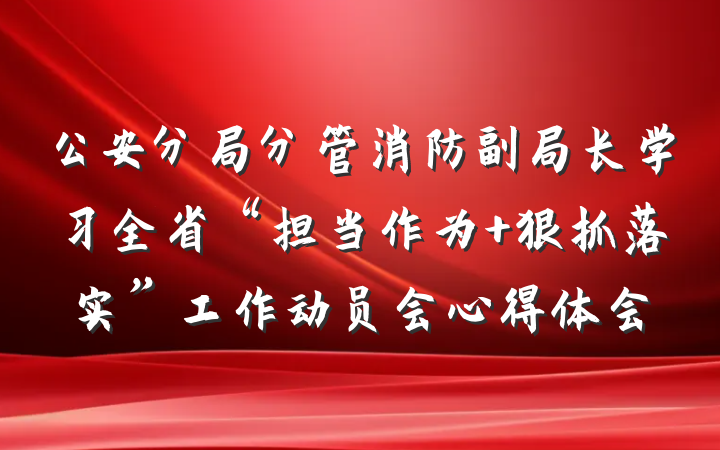 公安分局分管消防副局长学习全省“担当作为 狠抓落实”工作动员会心得体会
