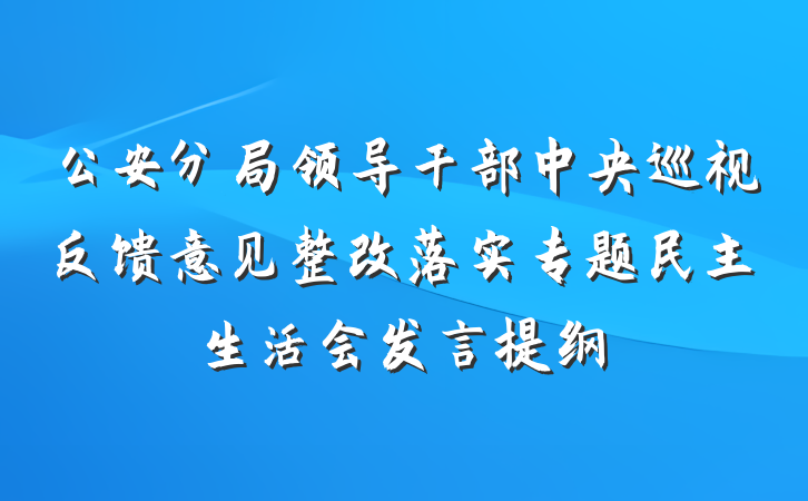 公安分局领导干部中央巡视反馈意见整改落实专题民主生活会发言提纲