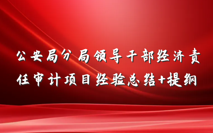 公安局分局领导干部经济责任审计项目经验总结 提纲